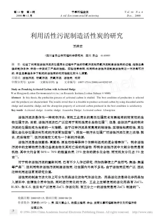 Y利用活性污泥制造活性炭的研究