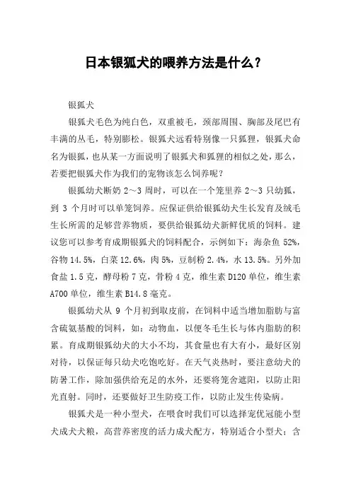 日本银狐犬的喂养方法是什么？