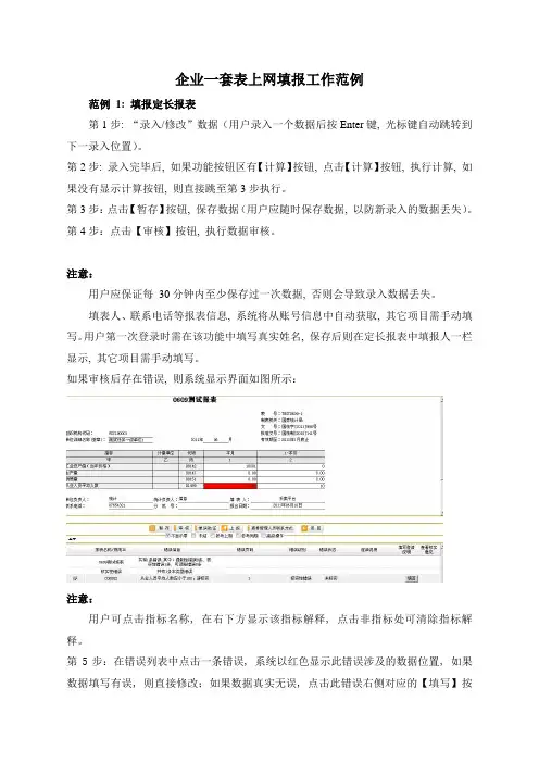 企业一套表上网填报工作范例