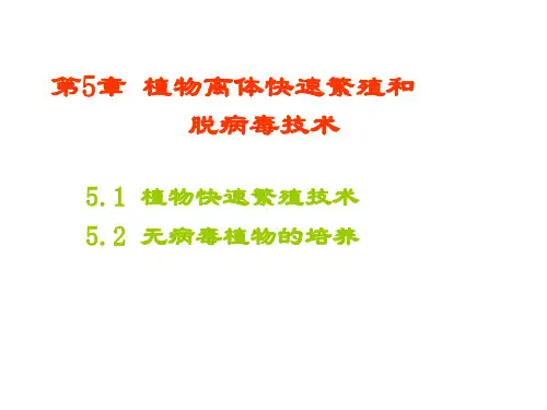 第五章 植物离体快速繁殖和脱病毒技术