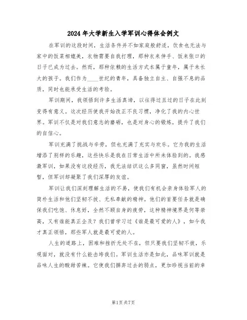 2024年大学新生入学军训心得体会例文（6篇）
