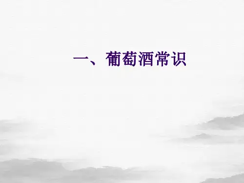 葡萄酒常识概述(PPT31页)