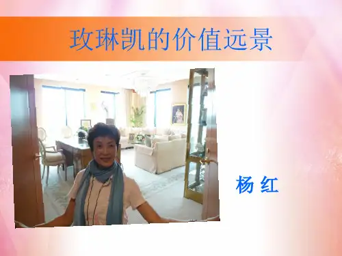 价值远景七大选项(新)