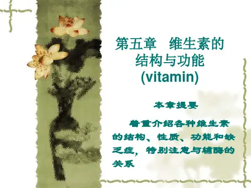 维生素的结构与功能vitamin