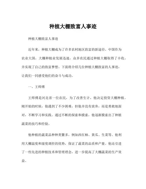 种植大棚致富人事迹