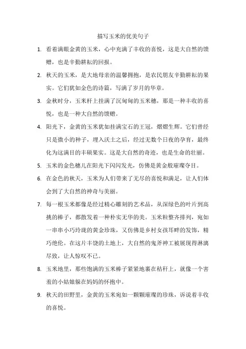 描写玉米的优美句子