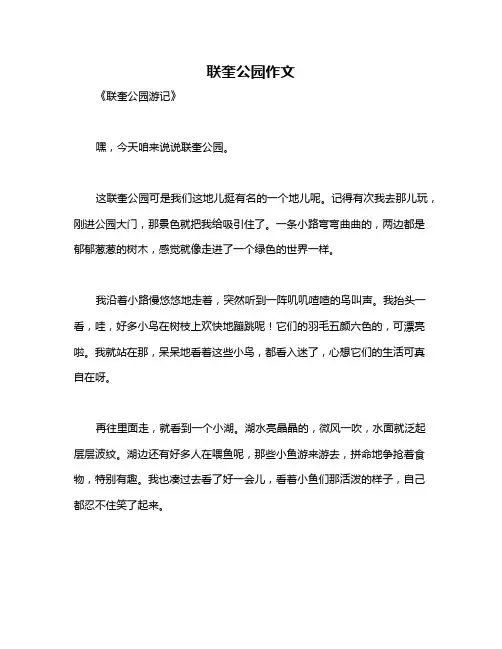 联奎公园作文