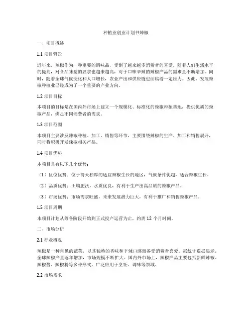 种植业创业计划书辣椒