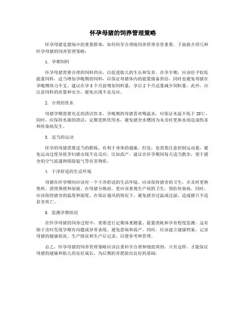 怀孕母猪的饲养管理策略