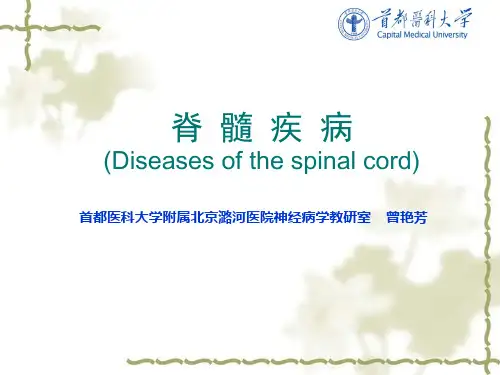 内科医学课件：脊髓疾病