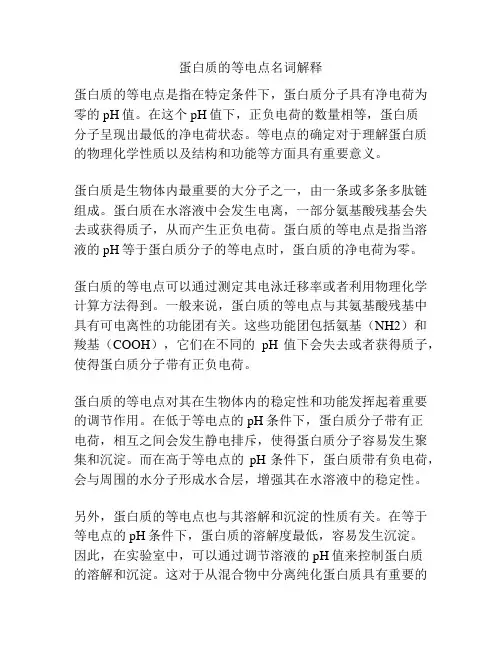 蛋白质的等电点名词解释