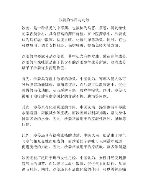 沙姜的作用与功效
