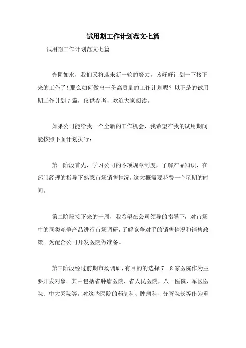 2021年试用期工作计划范文七篇