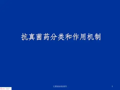 抗真菌药分类和作用机制ppt课件
