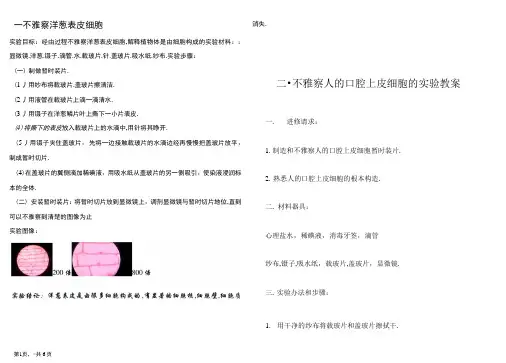 观察洋葱表皮细胞生物实验报告