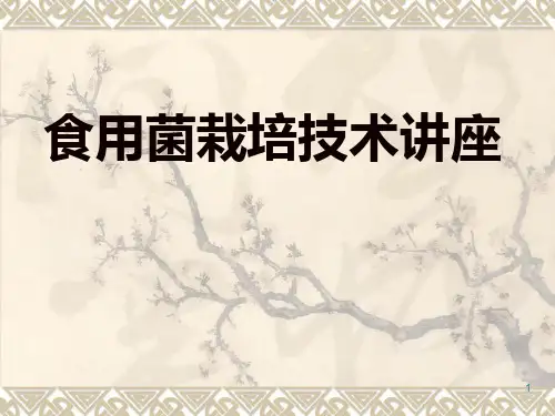 食用菌栽培技术讲PPT课件