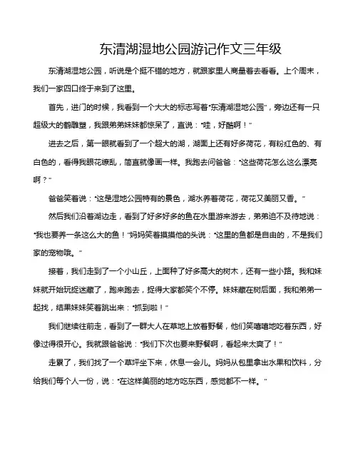 东清湖湿地公园游记作文三年级