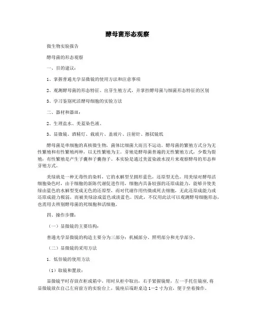酵母菌形态观察