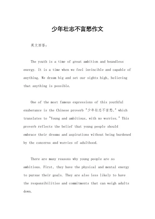 少年壮志不言愁作文