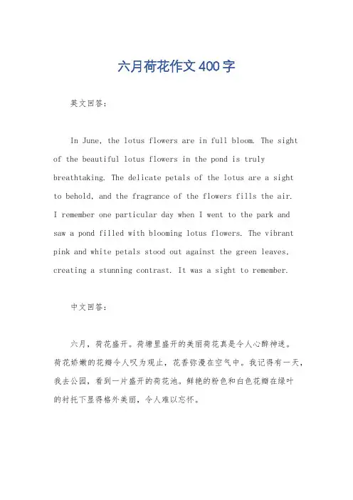 六月荷花作文400字
