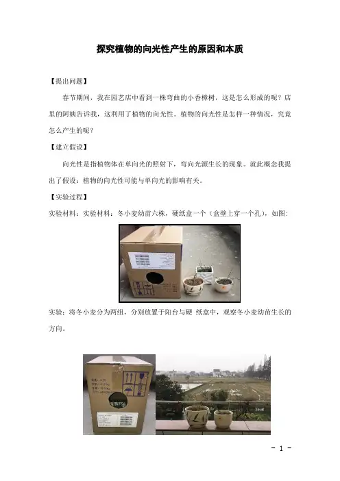 初中科学精品小论文：探究植物的向光性产生的原因和本质
