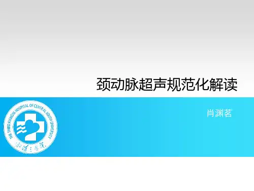 颈动脉超声规范化操作解读