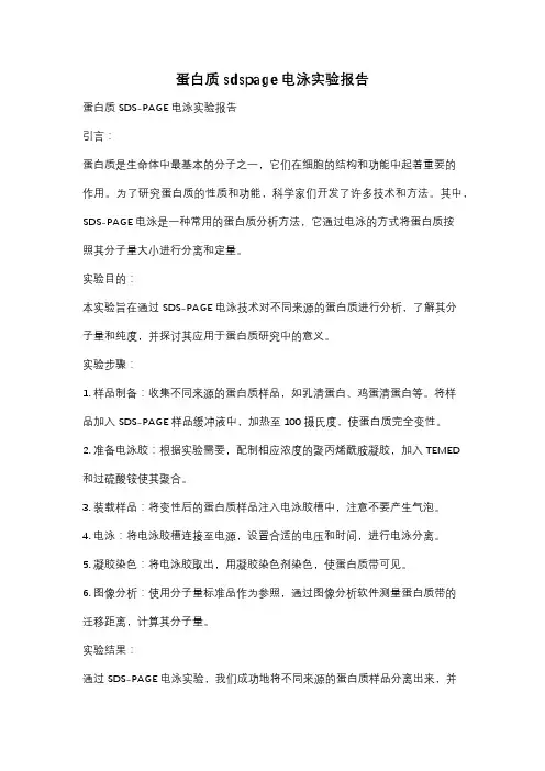 蛋白质sdspage电泳实验报告