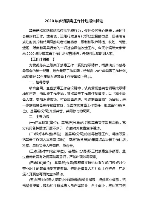2020年乡镇禁毒工作计划报告精选