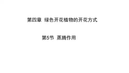 蒸腾作用课件(共15张PPT)北师大版七年级上册(2024)