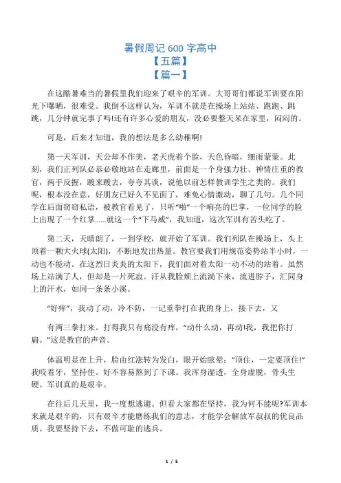 暑假周记600字高中