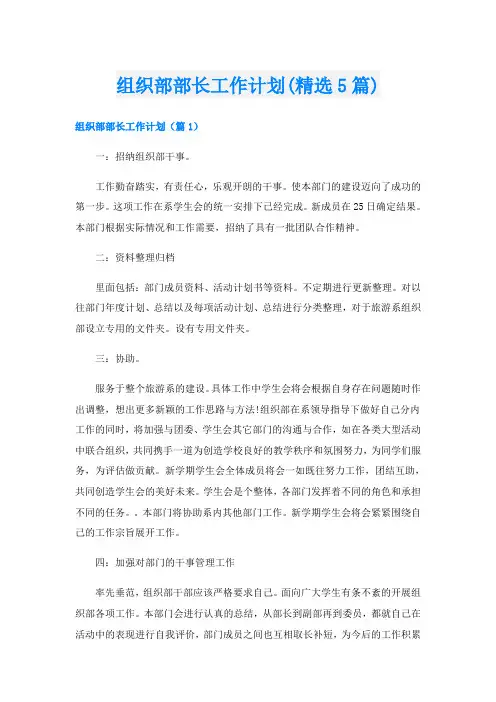 组织部部长工作计划(精选5篇)