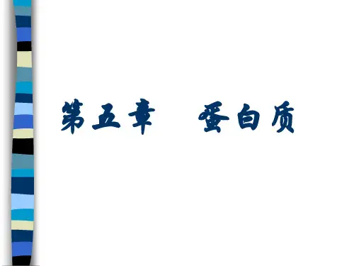 江南大学食品学院课件-第五章-蛋白质概论