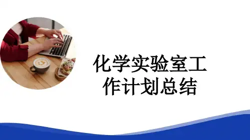 化学实验室工作计划总结