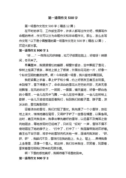 第一场雪作文范文500字（精选12篇）