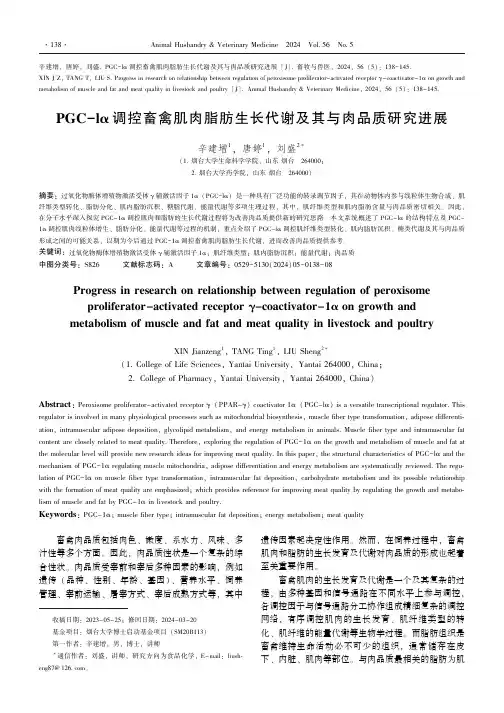 PGC－lα_调控畜禽肌肉脂肪生长代谢及其与肉品质研究进展