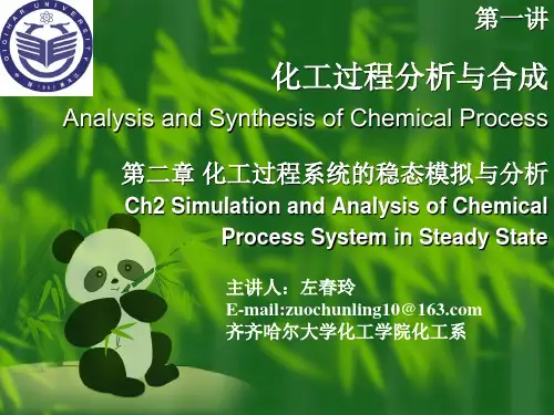 1第二章 化工过程系统的稳态模拟与分析