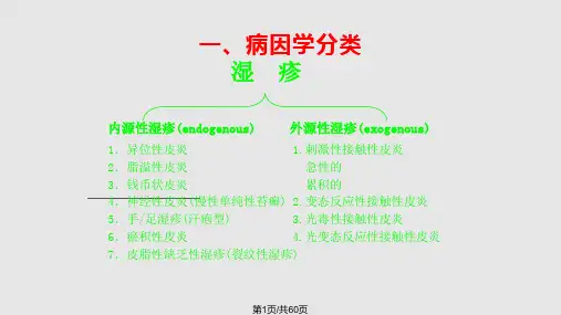 湿疹PPT课件