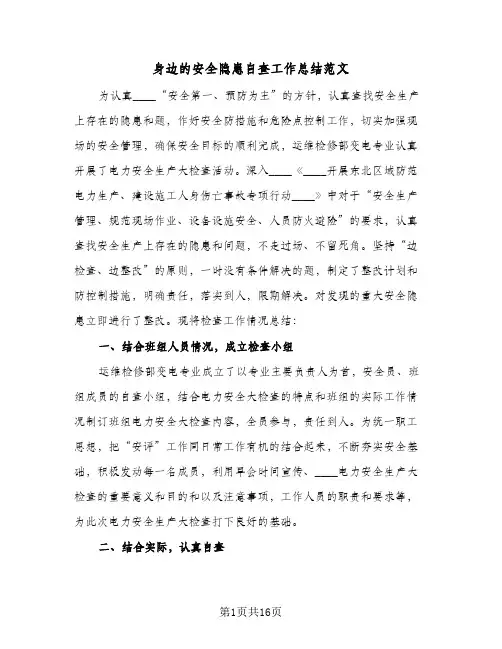 身边的安全隐患自查工作总结范文(6篇)