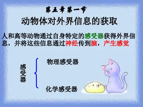 沪科版生命科学高二上5-1《动物体对外界信息的获取》优质课件