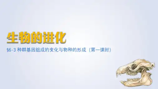 种群基因组成的变化与物种的形成(第一课时)高一生物课件(人教版2019必修2)