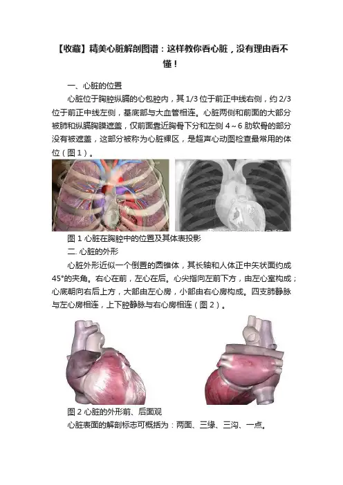 【收藏】精美心脏解剖图谱：这样教你看心脏，没有理由看不懂！