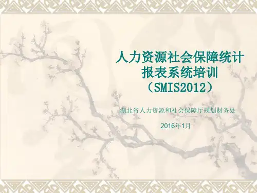 人力资源社会保障统计报表系统(SMIS2012)