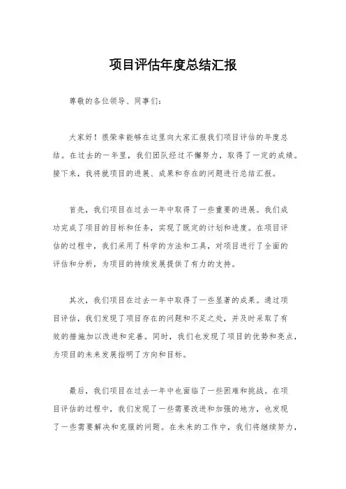 项目评估年度总结汇报