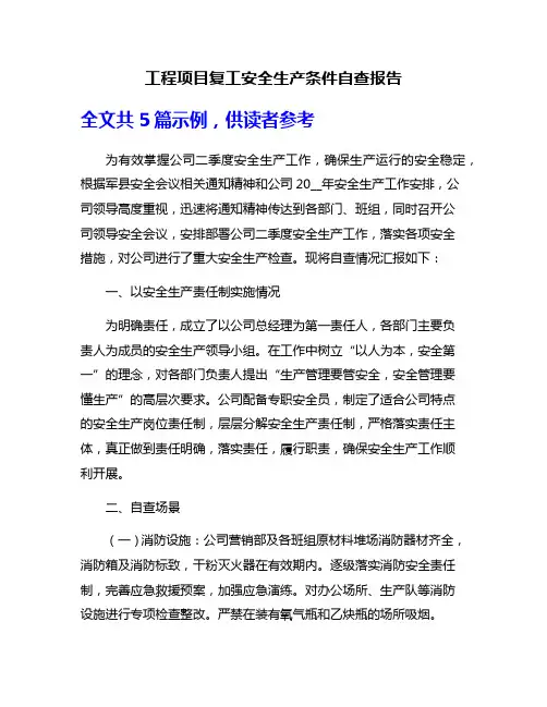工程项目复工安全生产条件自查报告