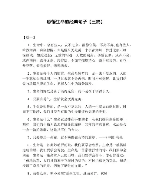 感悟生命的经典句子【三篇】
