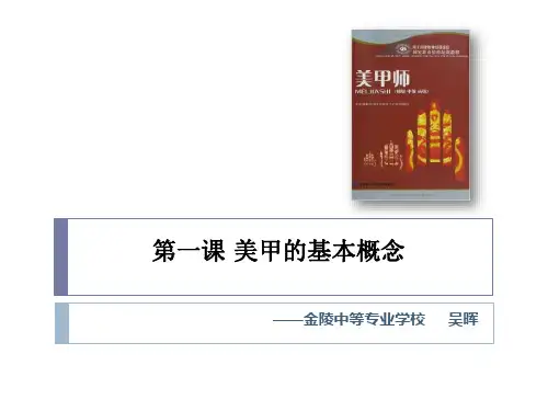 美甲概论