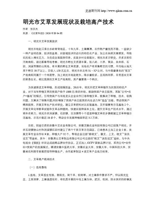 明光市艾草发展现状及栽培高产技术