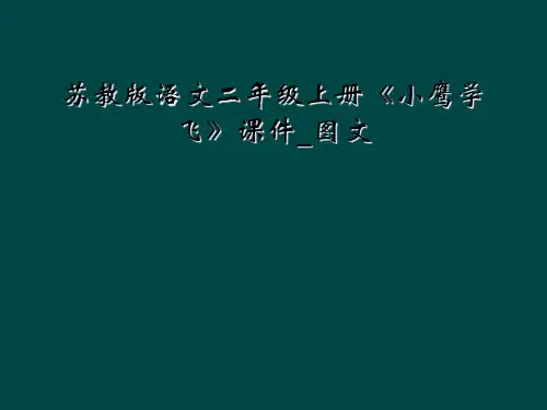 苏教版语文二年级上册《小鹰学飞》课件_图文