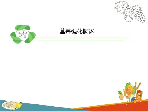 营养强化食品—食品营养强化