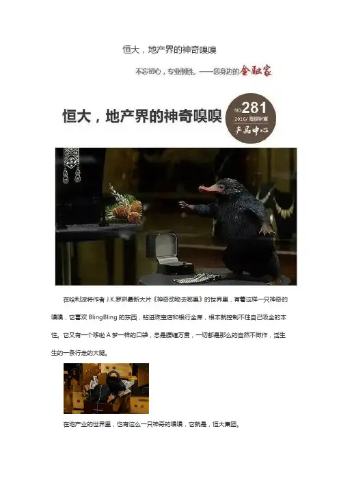 恒大,地产界的神奇嗅嗅
